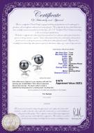 Product certificate: JAK-B-AA-78-E-Gilda