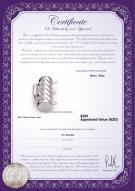 Product certificate: W-Alloy-TRP-Clasp-Leeds