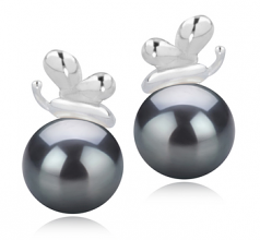 7-8mm AA Quality Japanese Akoya Cultured Pearl Earring Pair in Marsha Black